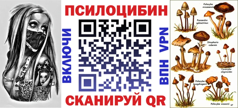 магазин наркотиков KRAKEN ТОР маркетплейс какой сайт Шацк Галлюциногенные грибы Psilocybe